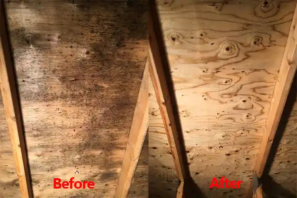 water damage restoration service Clay Center